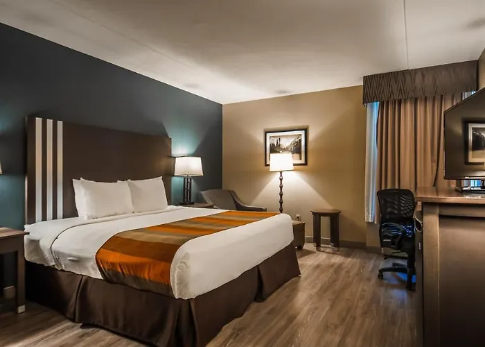 Hotel Express & Phoenix - By Ihg 3*